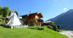 Chalet au milieu des fleurs à 3 min de Grimentz