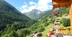 Chalet au milieu des fleurs à 3 min de Grimentz