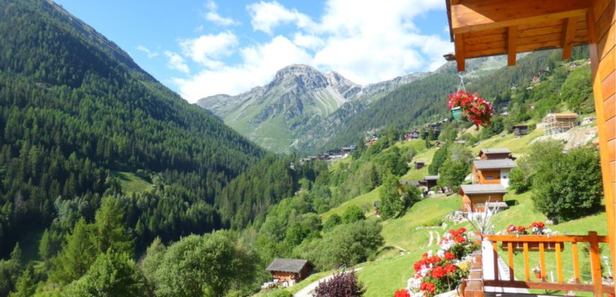 Chalet au milieu des fleurs à 3 min de Grimentz