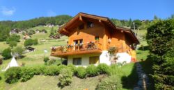 Chalet au milieu des fleurs à 3 min de Grimentz