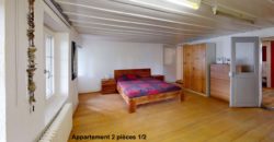 Corps de Ferme avec 3 appartements 2 granges et 3 garages fermés