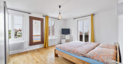MAGNIFIQUE CORPS DE FERME COMPOSÉ DE 3 APPARTEMENTS ET DE 2 GRANGES