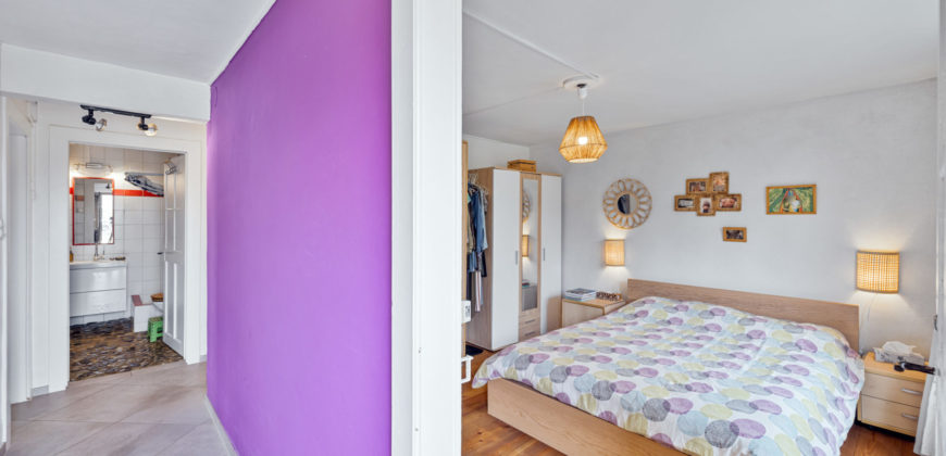 MAGNIFIQUE CORPS DE FERME COMPOSÉ DE 3 APPARTEMENTS ET DE 2 GRANGES
