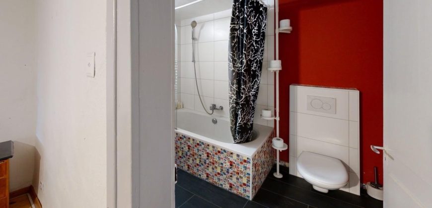 Corps de Ferme avec 3 appartements 2 granges et 3 garages fermés