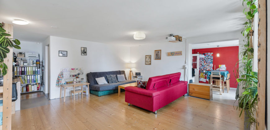 MAGNIFIQUE CORPS DE FERME COMPOSÉ DE 3 APPARTEMENTS ET DE 2 GRANGES
