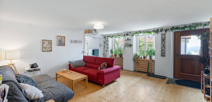 Corps de Ferme avec 3 appartements 2 granges et 3 garages fermés