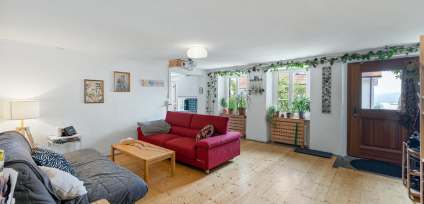MAGNIFIQUE CORPS DE FERME COMPOSÉ DE 3 APPARTEMENTS ET DE 2 GRANGES