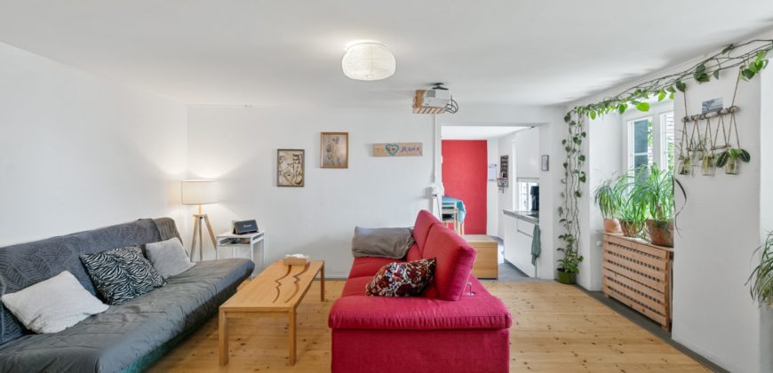 Corps de Ferme avec 3 appartements 2 granges et 3 garages fermés