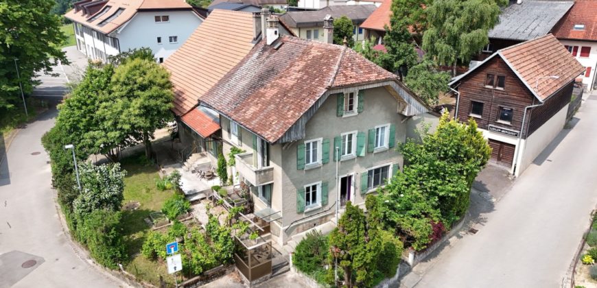 MAGNIFIQUE CORPS DE FERME COMPOSÉ DE 3 APPARTEMENTS ET DE 2 GRANGES