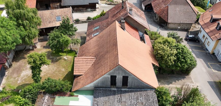 MAGNIFIQUE CORPS DE FERME COMPOSÉ DE 3 APPARTEMENTS ET DE 2 GRANGES