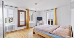 Corps de Ferme avec 3 appartements 2 granges et 3 garages fermés