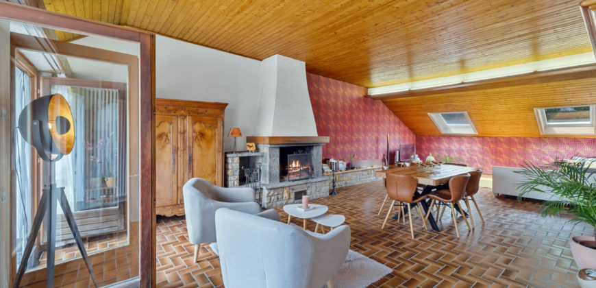 Corps de Ferme avec 3 appartements 2 granges et 3 garages fermés