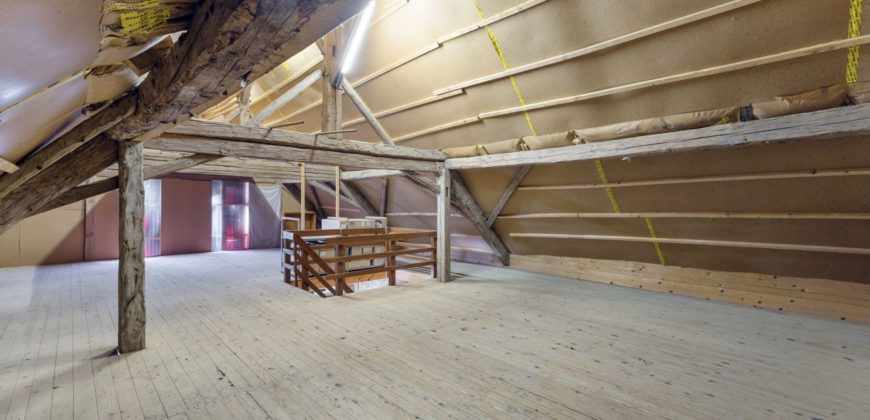 Corps de Ferme avec 3 appartements 2 granges et 3 garages fermés