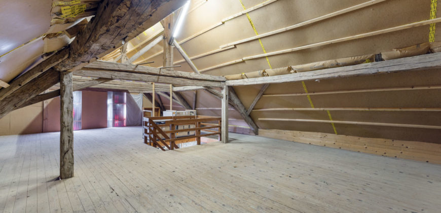 MAGNIFIQUE CORPS DE FERME COMPOSÉ DE 3 APPARTEMENTS ET DE 2 GRANGES