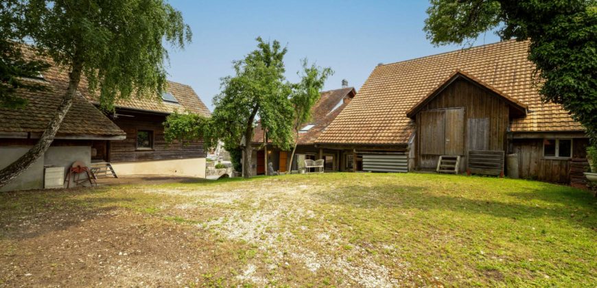 MAGNIFIQUE CORPS DE FERME COMPOSÉ DE 3 APPARTEMENTS ET DE 2 GRANGES