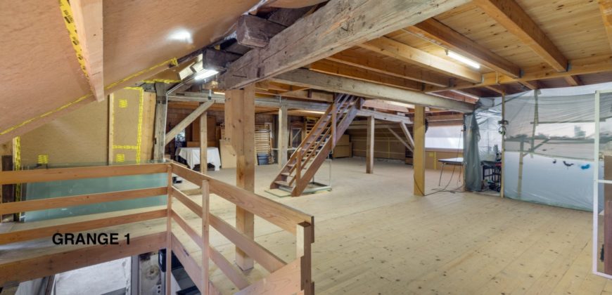 Corps de Ferme avec 3 appartements 2 granges et 3 garages fermés