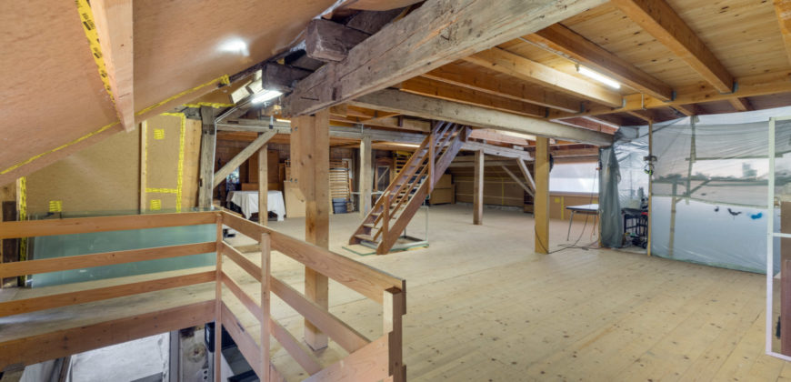MAGNIFIQUE CORPS DE FERME COMPOSÉ DE 3 APPARTEMENTS ET DE 2 GRANGES