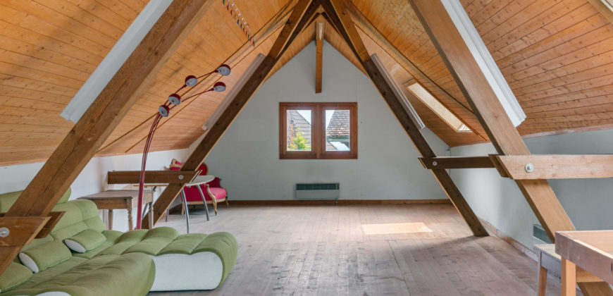 MAGNIFIQUE CORPS DE FERME COMPOSÉ DE 3 APPARTEMENTS ET DE 2 GRANGES