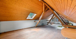 MAGNIFIQUE CORPS DE FERME COMPOSÉ DE 3 APPARTEMENTS ET DE 2 GRANGES