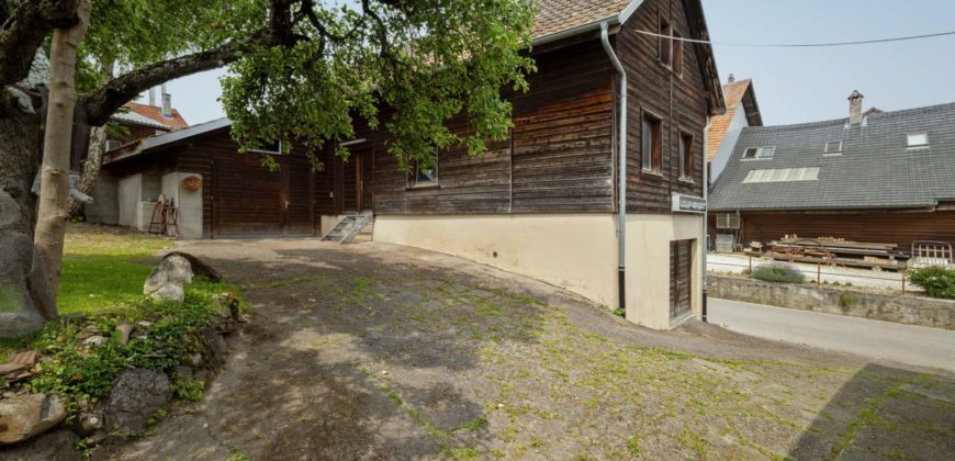 MAGNIFIQUE CORPS DE FERME COMPOSÉ DE 3 APPARTEMENTS ET DE 2 GRANGES