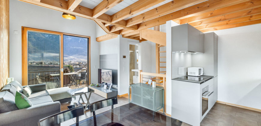 Charmante villa mitoyenne 3 pièces 1/2 de 110 m2 au coeur des vignes