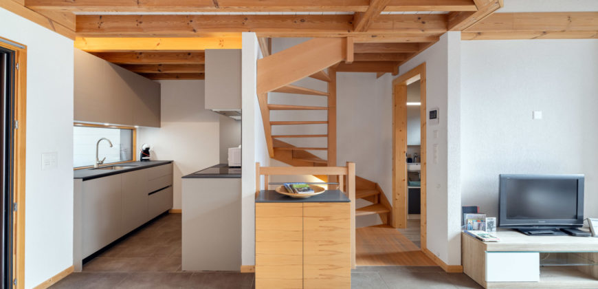 MAGNIFIQUE VILLA MITOYENNE 3 PCES ½ DE 107 M2 AU CŒUR DES VIGNES À SAILLON 