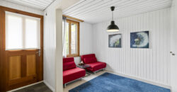 Petit immeuble locatif de 3 appartements et 1 studio personnalisable