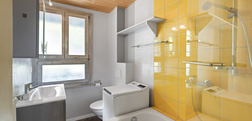 Petit immeuble locatif de 3 appartements et 1 studio personnalisable