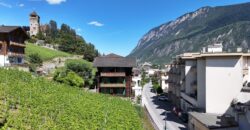 Petit immeuble locatif de 3 appartements et 1 studio personnalisable