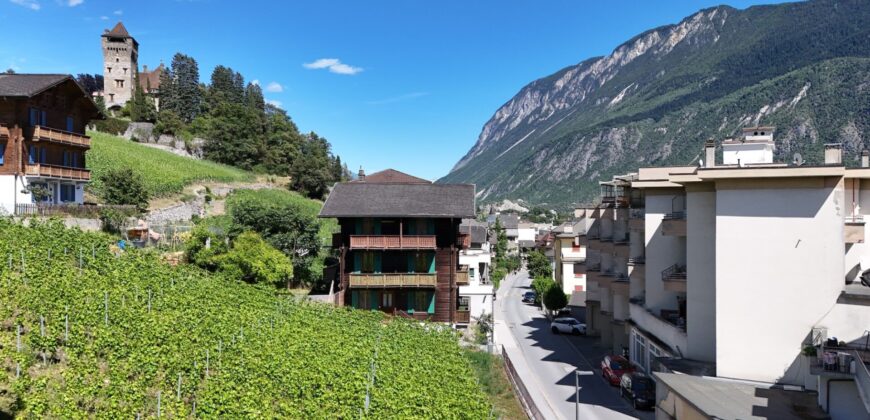 Petit immeuble locatif de 3 appartements et 1 studio personnalisable