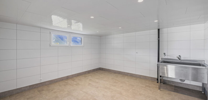 Maison individuelle 6 pièces 1/2 avec un atelier et une vue extraordinaire