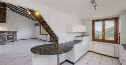 Maison individuelle 6 pièces 1/2 avec un atelier et une vue extraordinaire