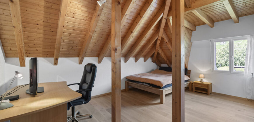 Splendide villa individuelle de 6 pièces ½ sur 3 niveaux