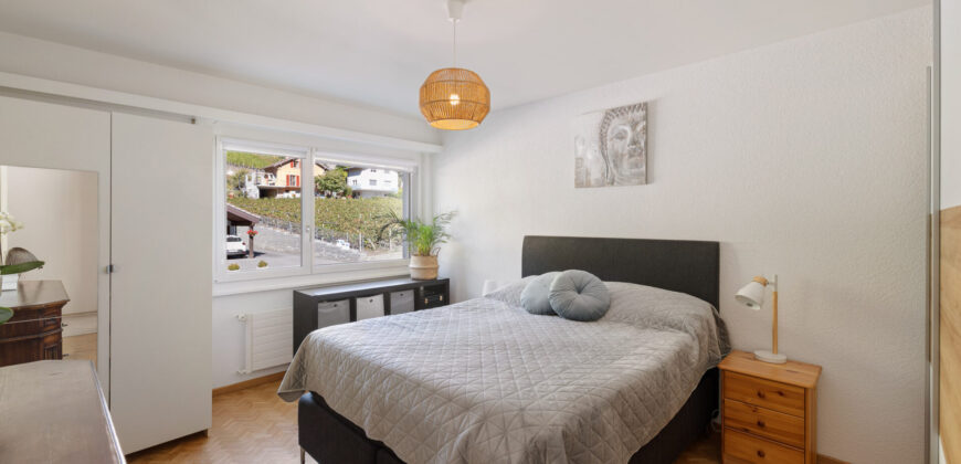 Bel appartement rénové dans le charmant village de Noës