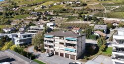 Bel appartement rénové dans le charmant village de Noës