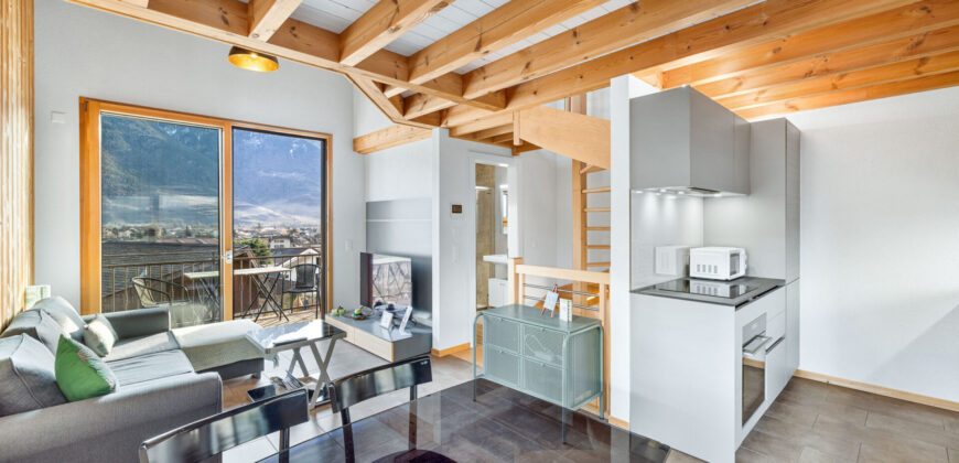 MAGNIFIQUE VILLA MITOYENNE 3 PCES ½ DE 110 M2 AU COEUR DES VIGNES À SAILLON